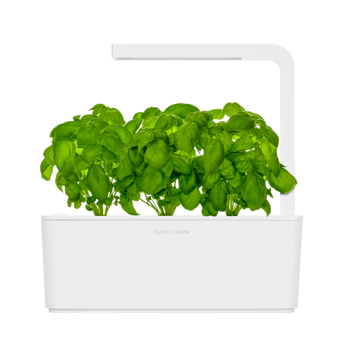 Click and Grow Smart Herb Garden базилик. Умный сад